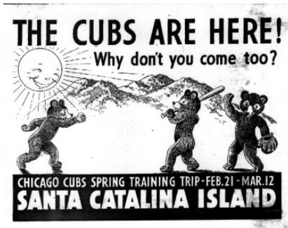 Cubs Catalina