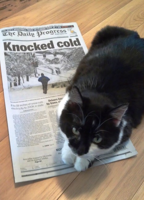 Stevie reminds you that it often snows here in March, sometimes a lot.