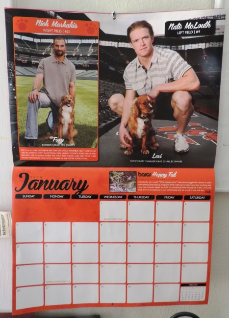 Nick & Nate Mr. Januaries