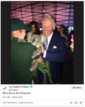 vin koala