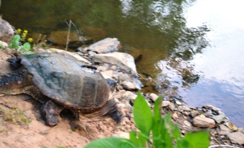 ????????????????????????????????????