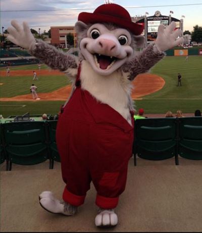 otey the swamp possum