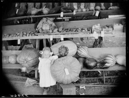 Vegetable Exhibit Custer County Fair Broken Bow NE 1886