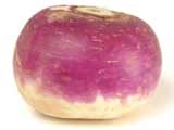 turnip
