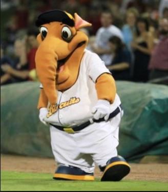 big mo not a biscuit