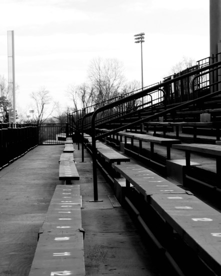 my first bleacher of spring 2016