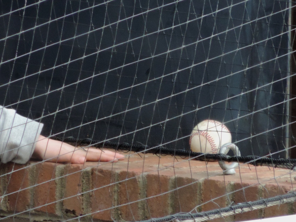 The men they call Yaz – Boston Herald, image size:1024x768